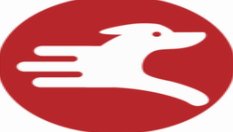 月犬云盾v6.3.6.8 破解版