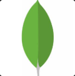 NoSQL Manager for MongoDB Pro(NoSQL数据库系统) v5.0.0.6 破解版